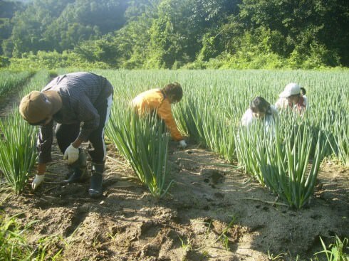 【福島県県北地域】里山暮らしセミナー～チャレンジ！有機農業～ | 移住関連イベント情報