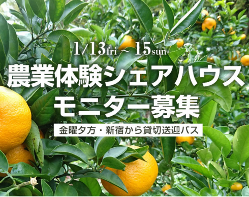【静岡県】1月「農業体験シェアハウス」モニターツアー参加者募集 | 移住関連イベント情報