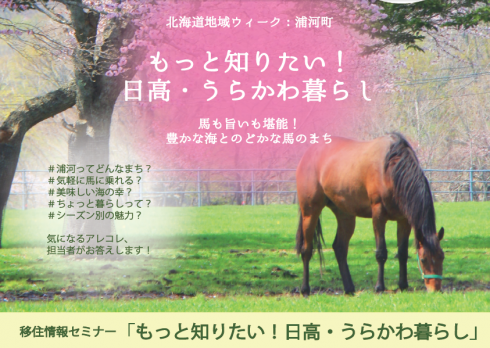 【北海道】もっと知りたい！日高・うらかわ暮らし<br/>～馬も旨いも堪能！豊かな海とのどかな馬のまち～ | 移住関連イベント情報