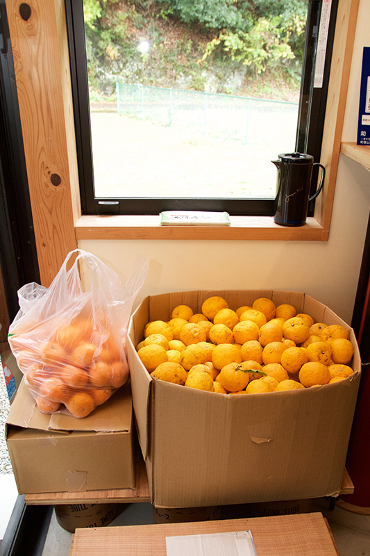 ▲地元の方から、ダンボール箱が破れそうなほど大量の柚子をいただいたそう