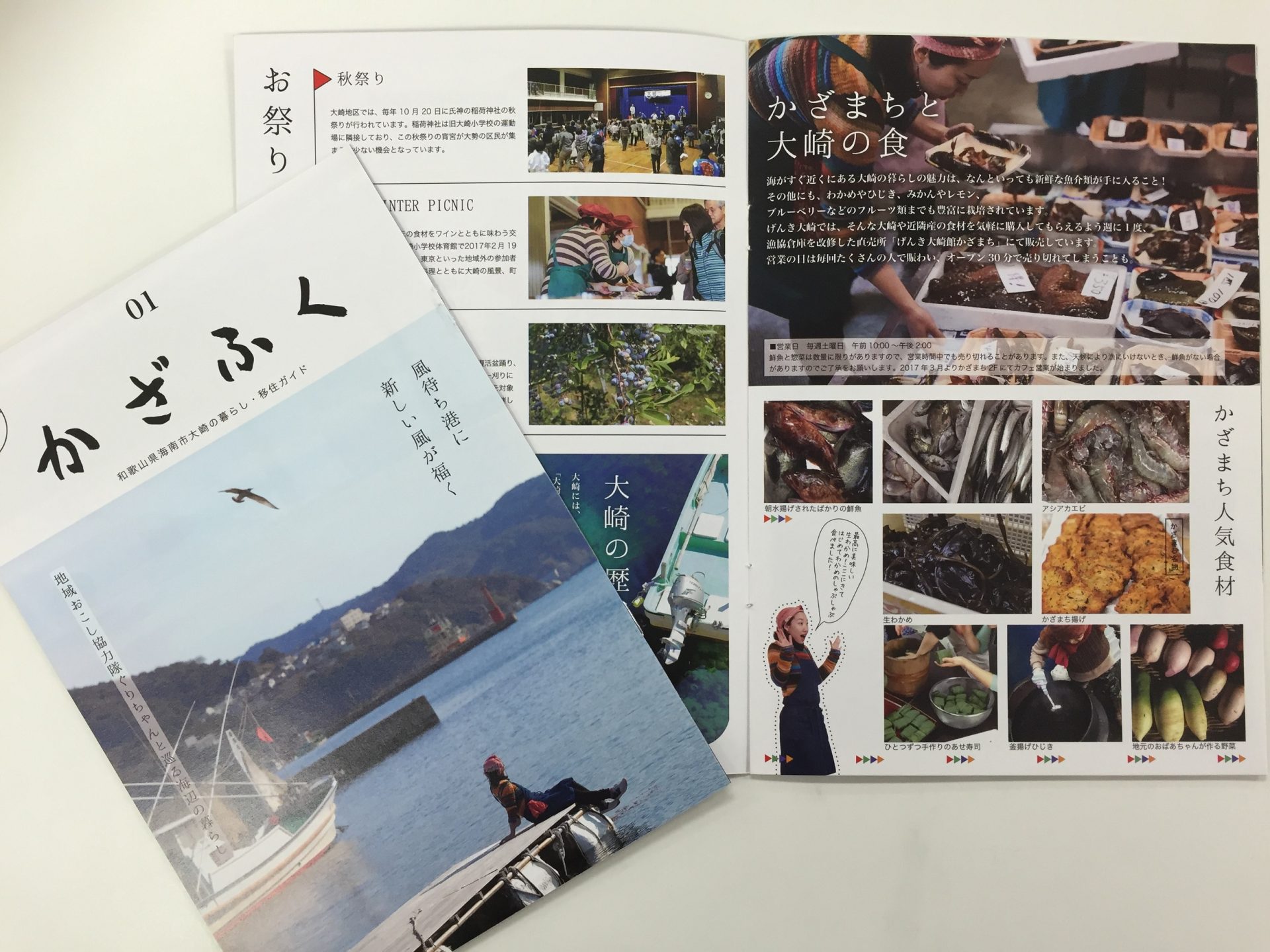 自称日本のエーゲ海!?和歌山県海南市大崎地区が移住ガイドを創刊！ | 地域のトピックス