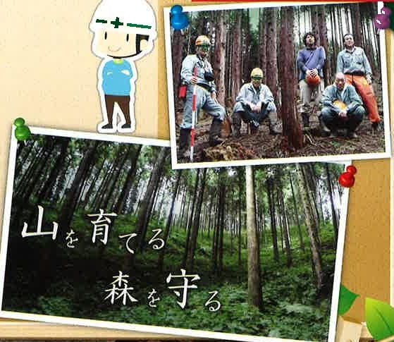 【岡山県】林業インターンシップ　7日間林業体験セミナー | 移住関連イベント情報