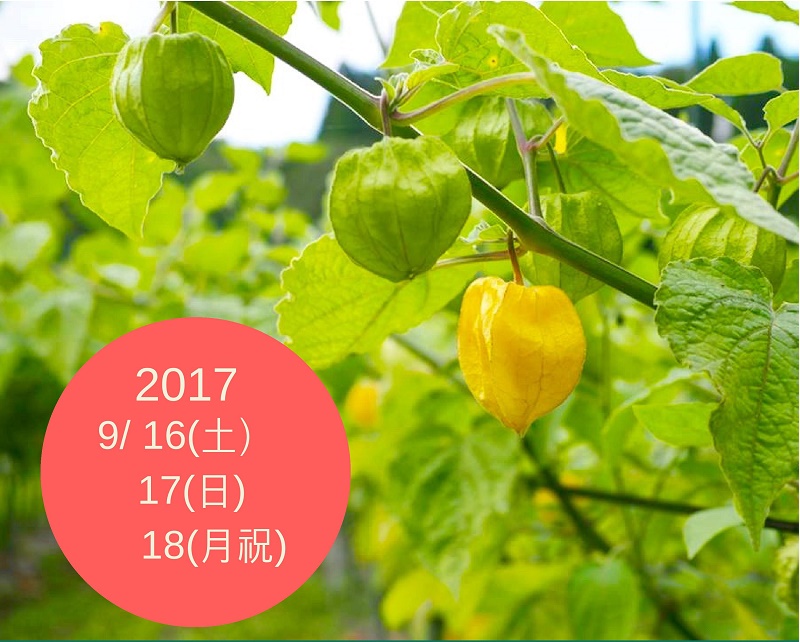 高萩市・FARMERS LIFE in 高萩 ～花貫フルーツほおずき編～ | 移住関連イベント情報