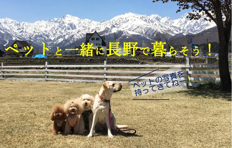 楽園信州移住セミナー　ペットと一緒に長野で暮らそう！ | 移住関連イベント情報