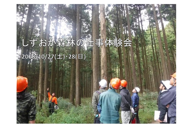 しずおか森林の仕事体験会 | 移住関連イベント情報