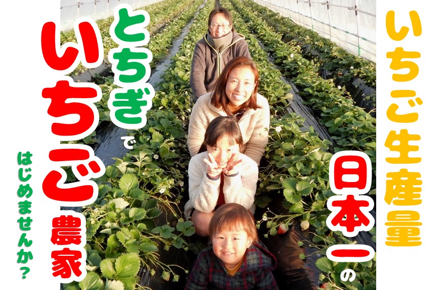 いちご生産量日本一のとちぎでいちご農家はじめませんか？ | 移住関連イベント情報