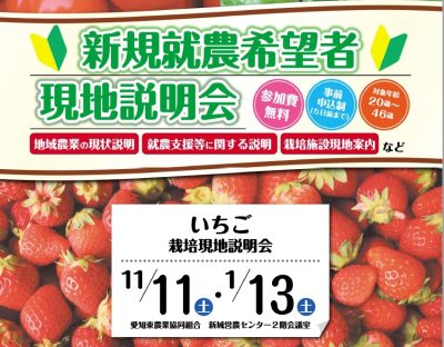【新規就農希望者向け】愛知県新城市　いちご　栽培現地説明会 | 地域のトピックス