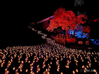 秋の幻想的な竹の灯祭り　-11月の週末は各地で開催！！ | 地域のトピックス