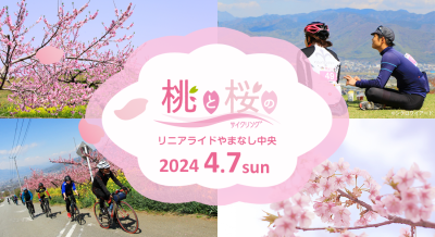 桃と桜のサイクリング　リニアライドやまなし中央 | 地域のトピックス