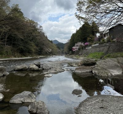 東京探検！武蔵五日市～河原の桜散歩～ | 地域のトピックス
