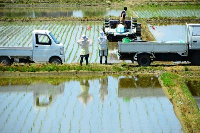 移住先での仕事を探すには | 地方暮らしのススメ