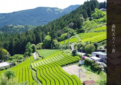 【静岡県】2月「農業体験シェアハウス」モニターツアー参加者募集 | 移住関連イベント情報