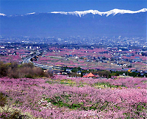 【山梨県】第6回 やまなし暮らしセミナー・笛吹市 | 移住関連イベント情報