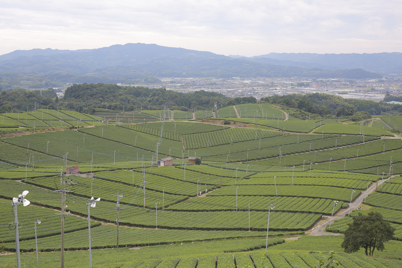 梅木さんお気に入りの八女市の風景