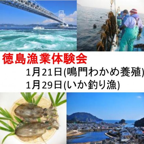 【徳島県】“漁業体験会”参加者募集中!! | 移住関連イベント情報