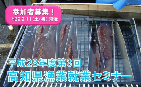 【高知県】?漁業”が気になる方、必見ッ! | 移住関連イベント情報