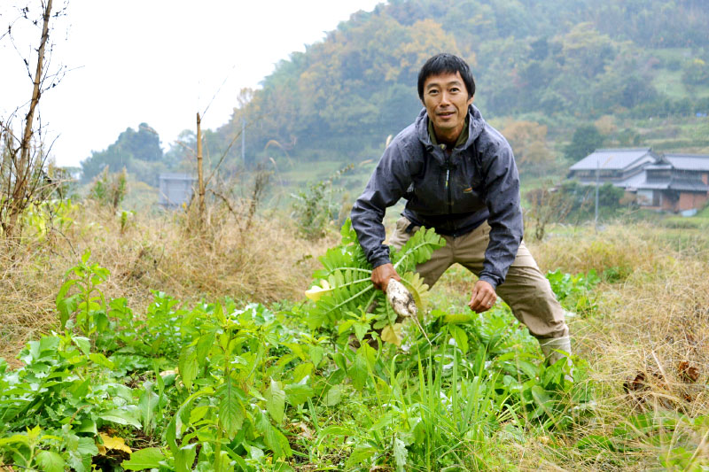 周防大島で農薬、化学肥料を使わない米づくりに取り組む「半農半ラジオ」の暮らし | 移住ストーリー