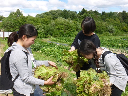 【福島県小野町】＊全5回＊2016田舎暮らし体験ツアー | 移住関連イベント情報