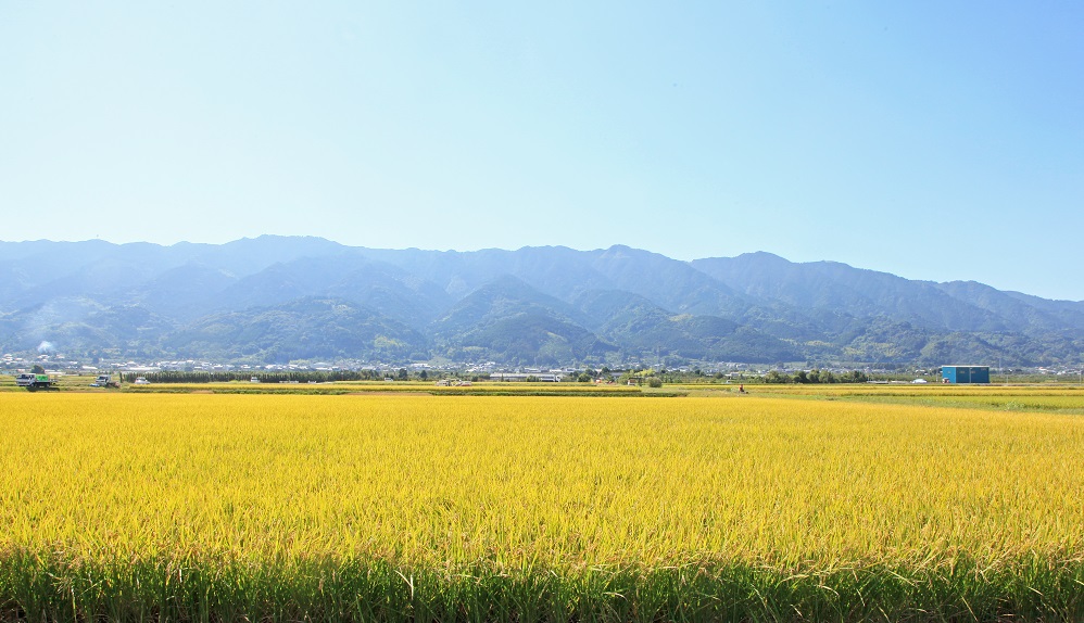 写真_耳納連山_小