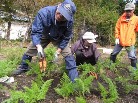 【静岡県伊豆】河津町まるごと体験ツアー募集 | 移住関連イベント情報