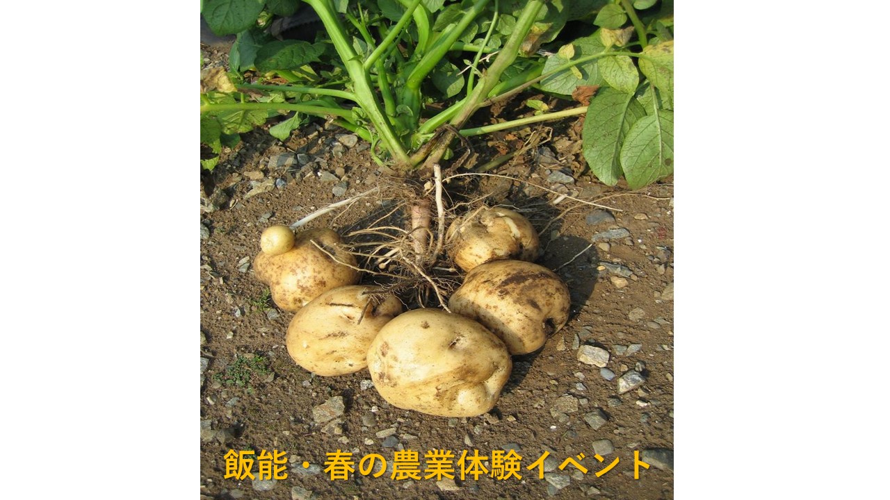 【埼玉県】農のある暮らし「飯能住まい」春の農業体験イベント参加者募集!! | 移住関連イベント情報