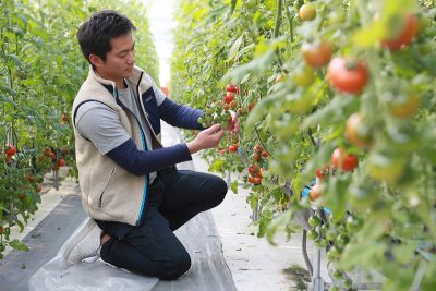 留学から戻ったら実家が紀北町に！両親が選んだまちで、農業の伸びしろに挑む | 移住ストーリー