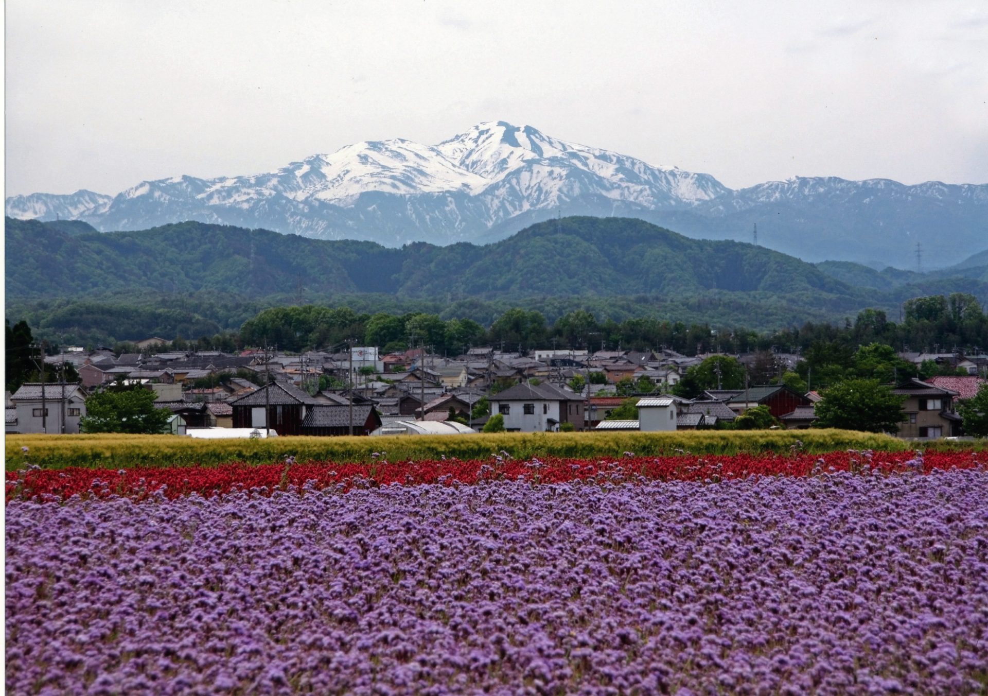 先輩と達人に学ぶ　石川県・加賀暮らしのススメ | 移住関連イベント情報