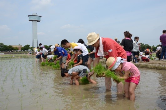 【埼玉県】田んぼアート10周年 田植え参加者大募集 ~今年もみんなで行こう田んぼアート~ | 地域のトピックス