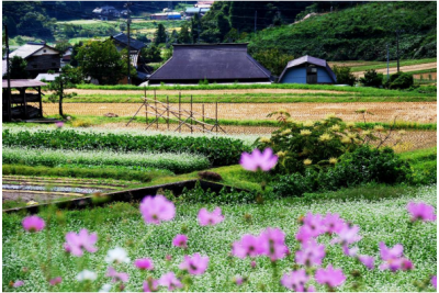 日野町・地域おこし協力隊(農業研修生) の募集 | 未分類