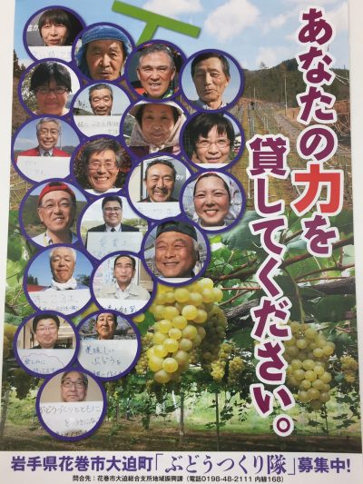 ＼岩手県花巻市で、ぶどう作り隊！～ボランティア活動しませんか？～／ | 地域のトピックス