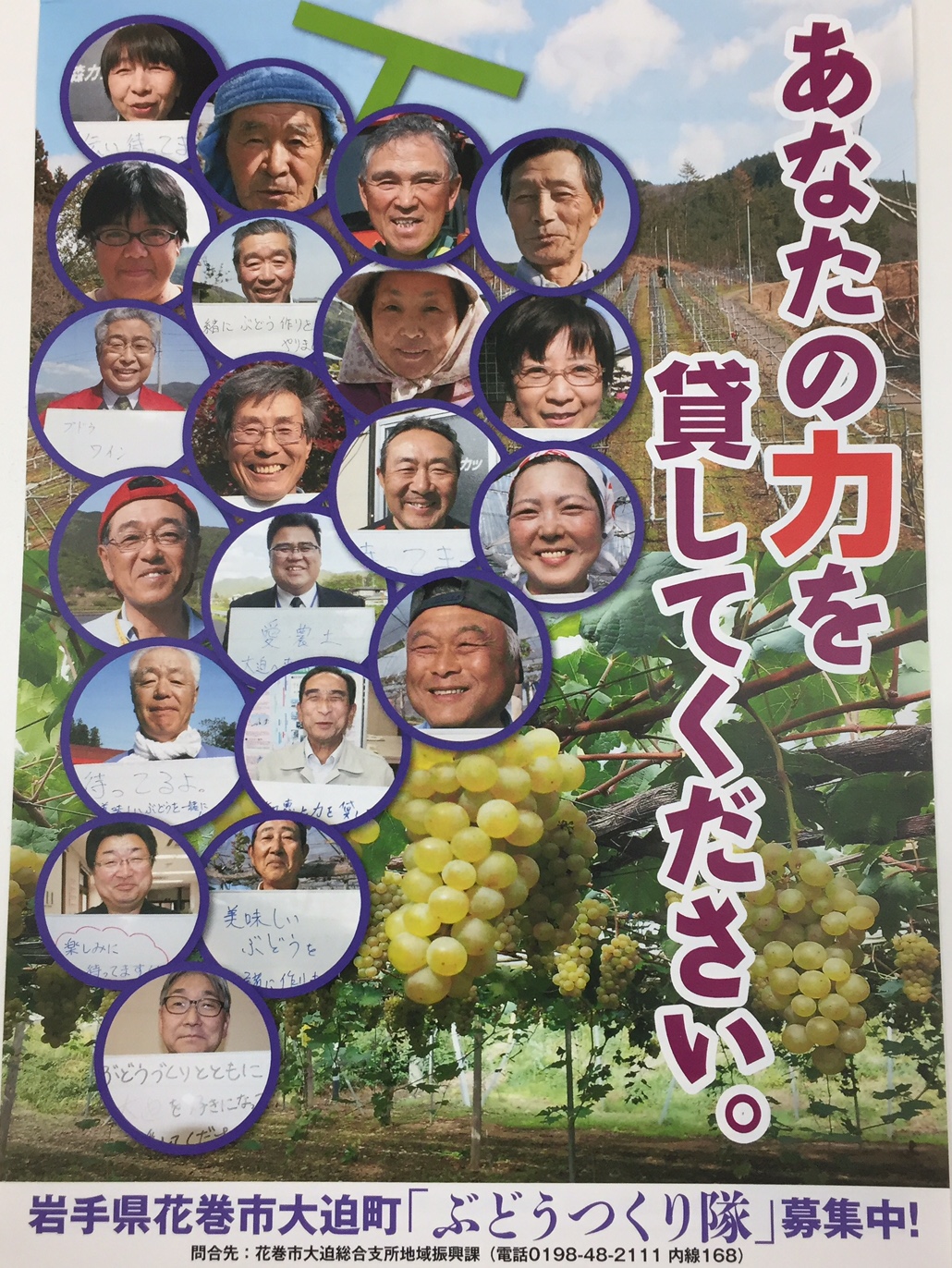 \岩手県花巻市で、ぶどう作り隊!~ボランティア活動しませんか?~/ | 地域のトピックス