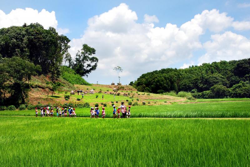 新農業人フェア in いばらき ～茨城の豊かな大地で未来の農業を支える人を応援します ～ | 移住関連イベント情報