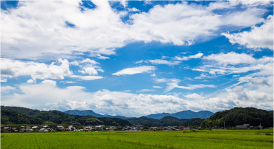 【鳥取県南部町】『里山暮らす』で里山体験しませんか？ | 地域のトピックス