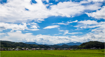 【鳥取県南部町】里山デザイン大学便り６月号が届きました！ | 地域のトピックス