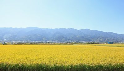 【福岡県】移住のプロモーション動画ができました！ | 地域のトピックス