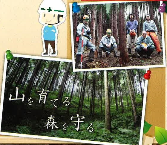【岡山県】林業インターンシップ 7日間林業体験セミナー | 移住関連イベント情報