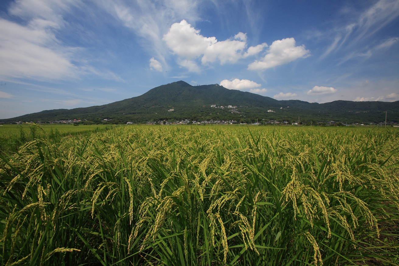 農場見学＆就農相談会 in 茨城県 | 移住関連イベント情報