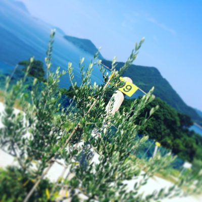 【香川県】移住して起業したい方の起業プラン募集中！県で初期経費の一部を補助します！ | 地域のトピックス