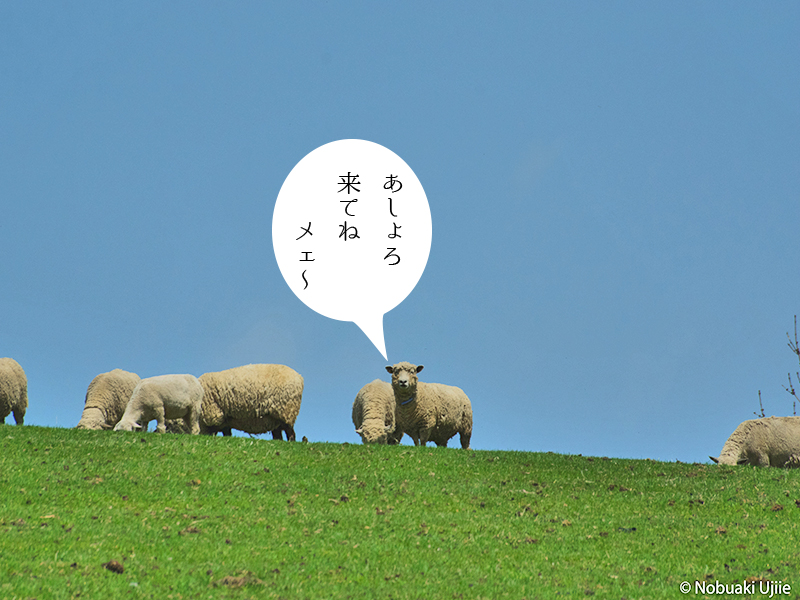 北海道足寄(あしょろ)体験モニターツアー | 地域のトピックス