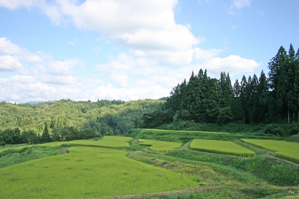 【新潟県長岡市】就農出張相談をします！ | 移住関連イベント情報