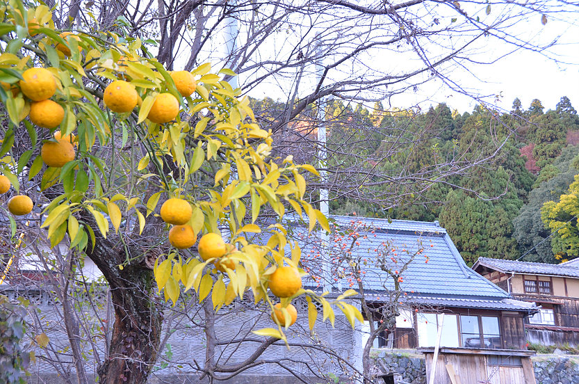 出張に行ってきました~丘蜂喫茶店~ | 地域のトピックス