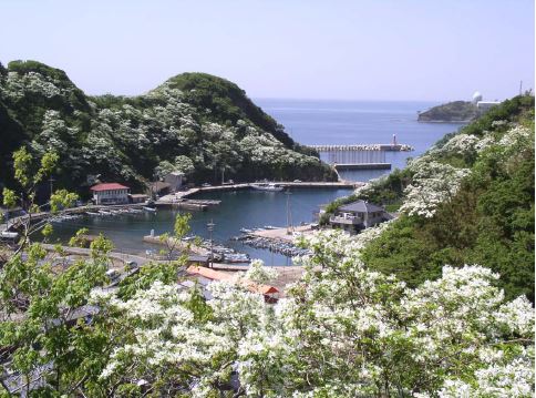 【長崎県】対馬市移住定住補助金が創設されました | 地域のトピックス