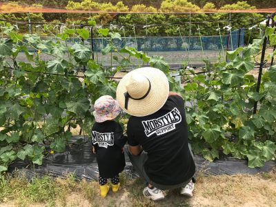 移住して初めての夏。 | 地域のトピックス