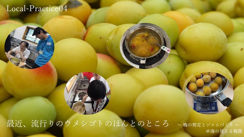 Local-Practice04 最近、流行りのウメシゴトのほんとのところ ~ 梅の剪定とジャムづくり ~ | 移住関連イベント情報