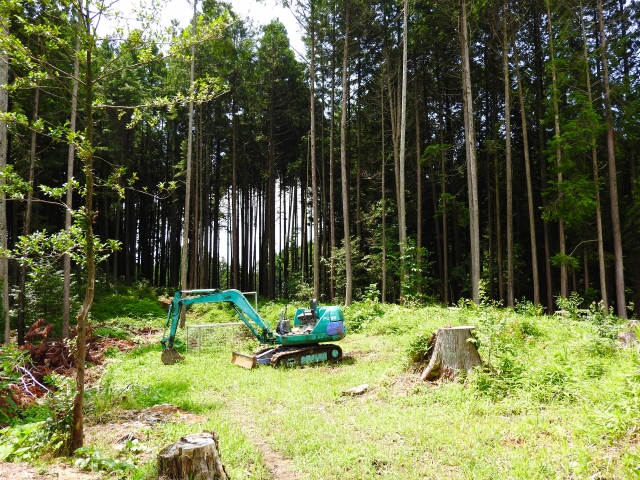 【申込延長】林業就業支援講習 受講生募集! | 移住関連イベント情報
