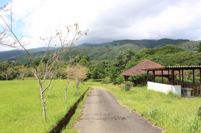 川南町地域おこし協力隊募集 | 移住関連イベント情報