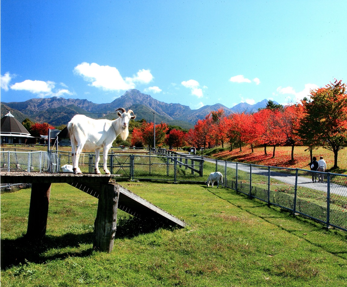 信州八ヶ岳 原村移住相談会 | 移住関連イベント情報