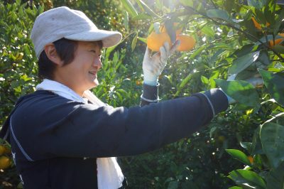 就農体験で魅せられて。柑橘王国・愛媛で女性みかん農家を目指す | 移住ストーリー