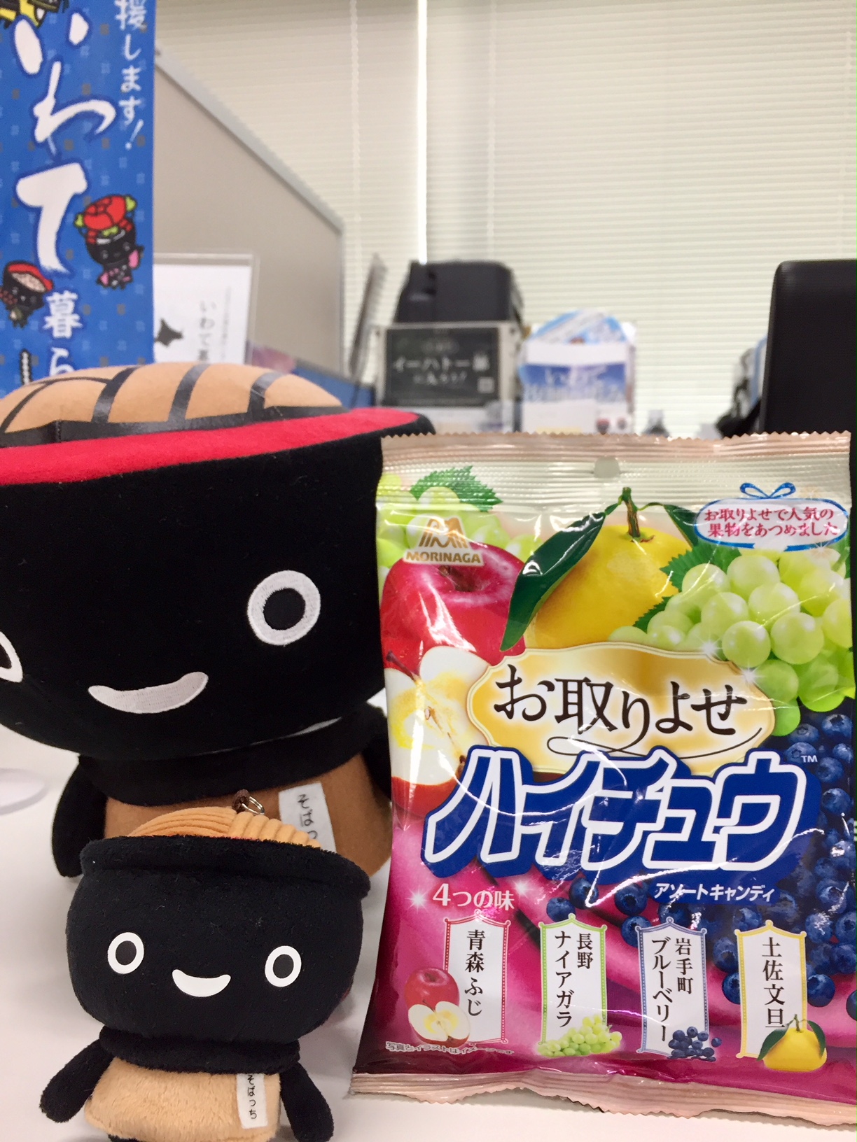 岩手町ブルーベリー! | 地域のトピックス