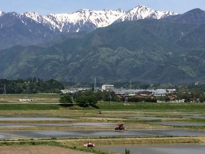 農業の６次産業化に取り組む　地域おこし協力隊募集！ | 移住関連イベント情報